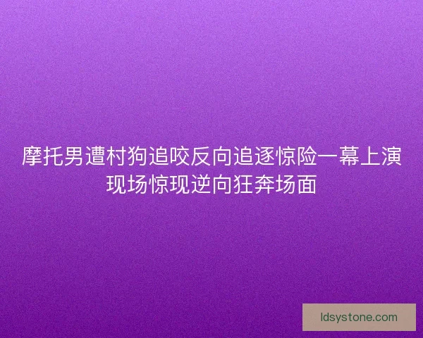 摩托男遭村狗追咬反向追逐惊险一幕上演现场惊现逆向狂奔场面