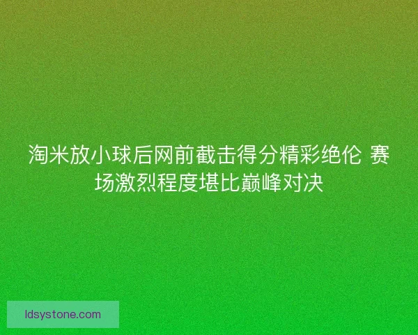 淘米放小球后网前截击得分精彩绝伦 赛场激烈程度堪比巅峰对决