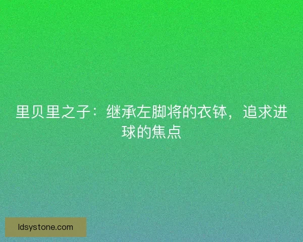 里贝里之子：继承左脚将的衣钵，追求进球的焦点