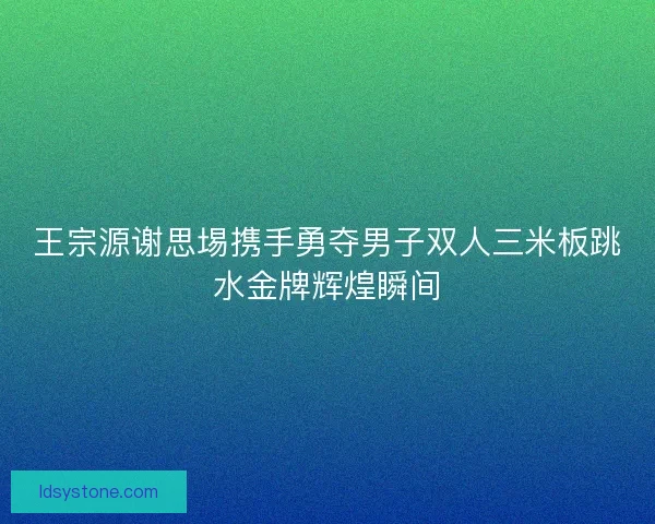 王宗源谢思埸携手勇夺男子双人三米板跳水金牌辉煌瞬间