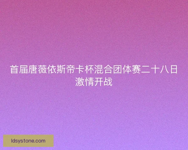 首届唐薇依斯帝卡杯混合团体赛二十八日激情开战